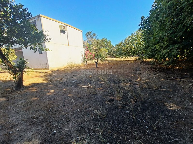 Foto cedf6a91-d1ad-4029-9a40-d4eb50f2f97c. Finca rústica a Loreto Espartinas