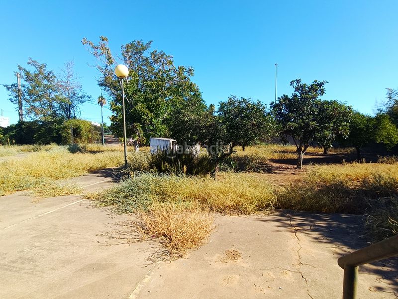 Foto e82ff163-6790-47e6-85e0-06186565cdd7. Finca rústica a Loreto Espartinas