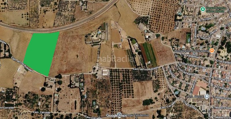 Foto 30d62d08-f5db-4f6b-b212-9f1906e20e88. Rural plot in Villanueva del Ariscal