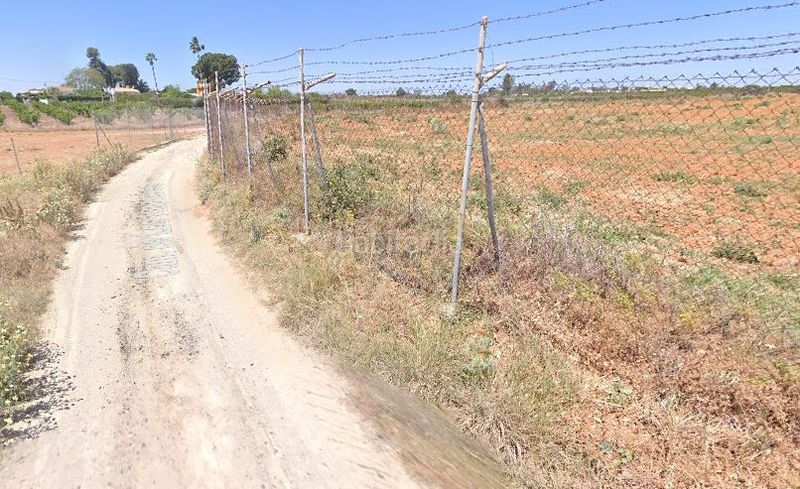 Foto 9e359fcc-098d-4d4e-8ab7-4f9bce9ad949. Rural plot in Villanueva del Ariscal