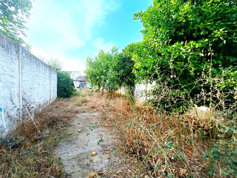 Foto 4df3b81d-e85b-4e8c-9bc4-32052fbe333e. Casa adossada amb aparcament a ramal de Espartinas Espartinas