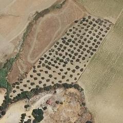 Finca rústica a Salteras