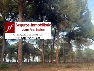 Mas  Calle triana. Finca con vivienda, pozo. en porretal