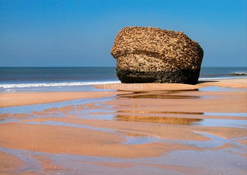 Foto 05b4eb67-4a0a-4d8b-9db8-c19c5e687c4c. Terreny residencial a Almonte Almonte