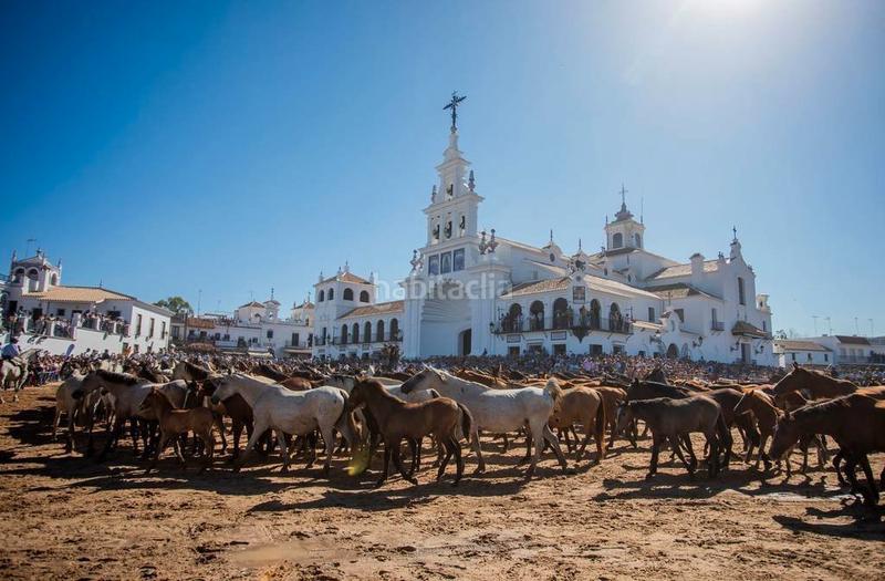 Foto 126f28ae-e48f-4db7-a9c4-cd142d78257e. Terreny residencial a Almonte Almonte