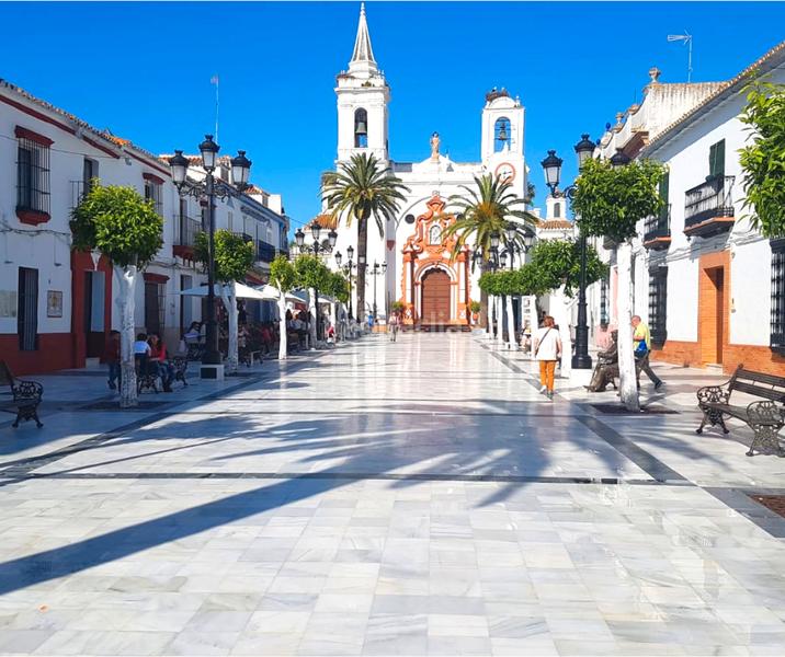 Foto 9a95ad7f-12d8-47b1-b588-87ec3c5ddc97. Terreny residencial a Almonte Almonte