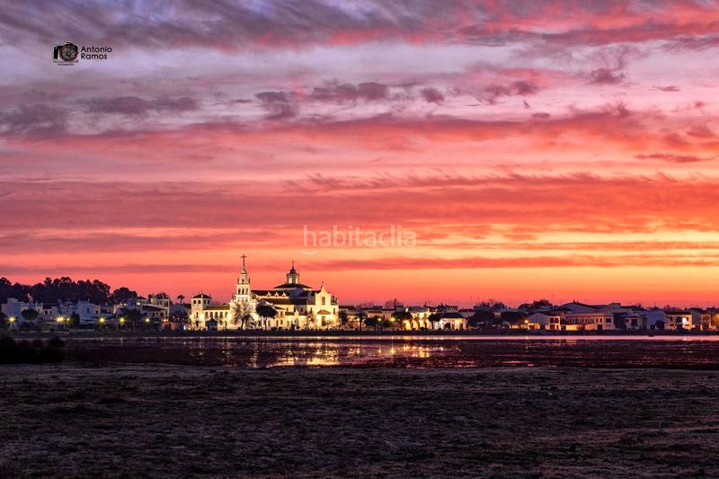 Foto e04d06c4-e0dd-4d92-825a-a63fd217e6ff. Terreny residencial a Almonte Almonte