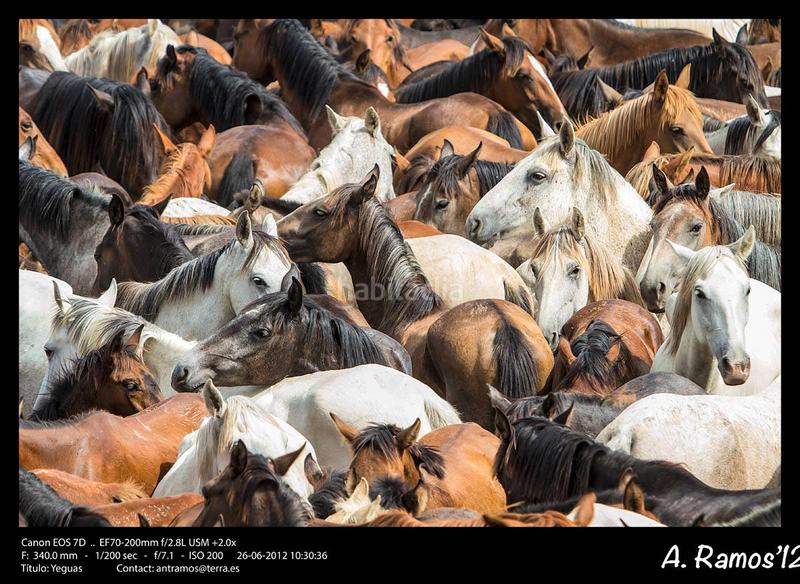 Foto 2c3e8b5b-1f39-4cb6-9f9a-9714bc958970. Terreno residenziale in Almonte Almonte