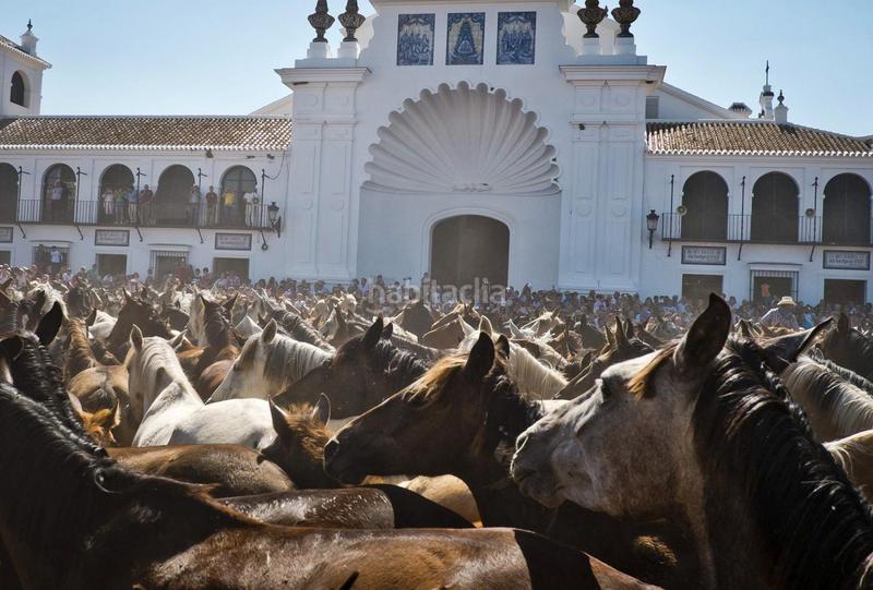 Foto 3d51556b-ec58-4290-8830-1f2695033228. Terreno residenziale in Almonte Almonte