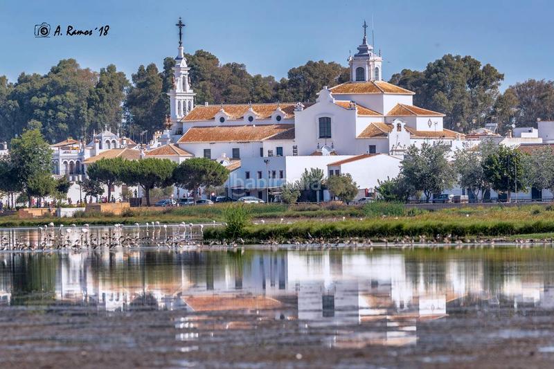 Foto 6dc80995-5ee7-4602-95ce-11b44ed5ccee. Terreno residenziale in Almonte Almonte