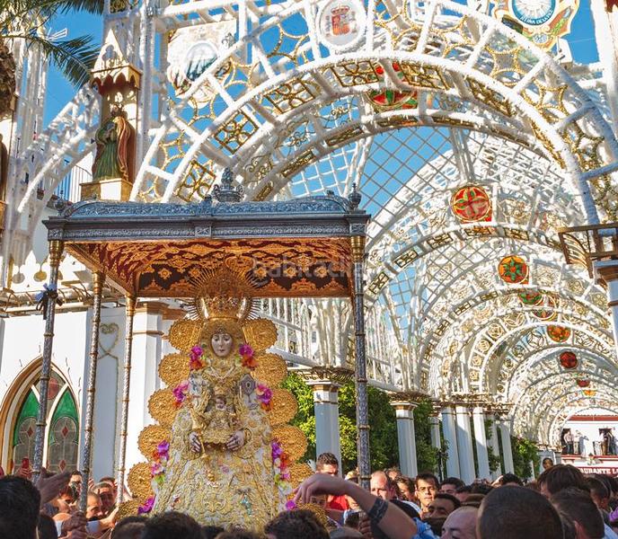 Foto 7bc1cd58-5ab9-4352-9295-6f34bd0dda88. Terreno residenziale in Almonte Almonte