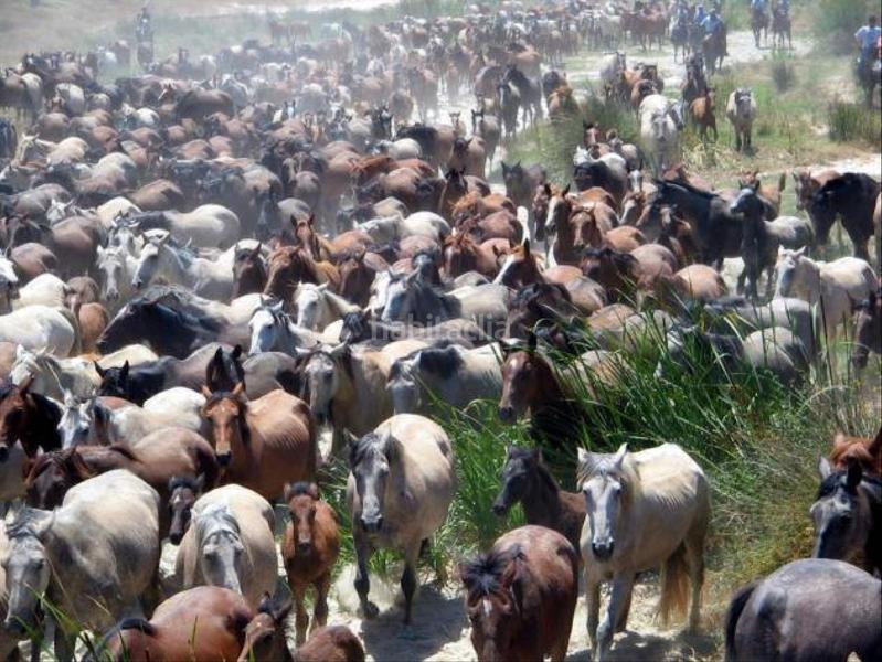 Foto 1ca9ca1a-9cd6-438a-a6bf-52ec033eb65a. Gewerbliches grundstück in Almonte Almonte