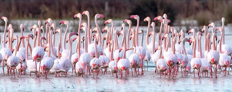 Foto 9470e5bf-8527-4156-a5c9-b9eb80eefa46. Gewerbliches grundstück in Almonte Almonte