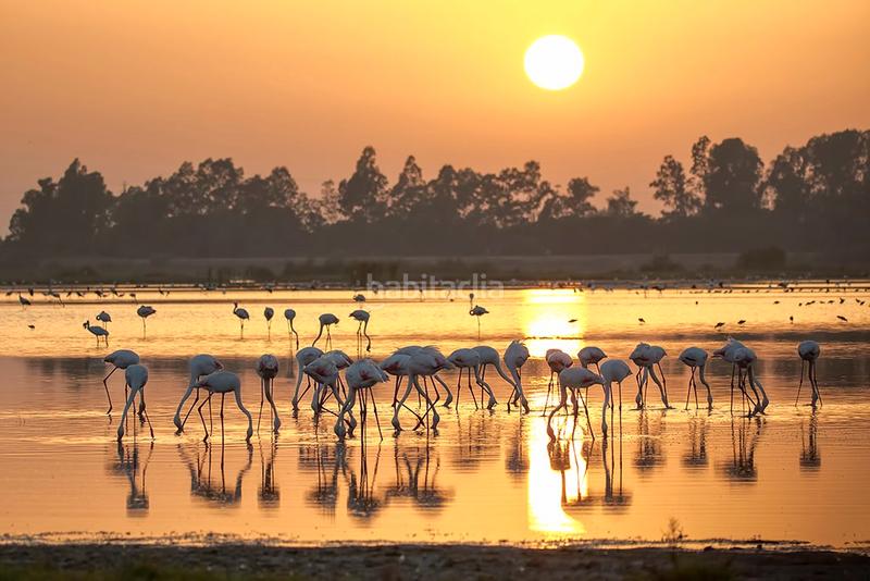 Foto 9c1f53fc-409a-42a2-ad0f-1587c5b6773f. Gewerbliches grundstück in Almonte Almonte