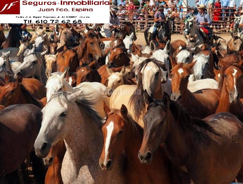 Foto e278b23c-6b34-4da6-9651-c730509e9718. Gewerbliches grundstück in Almonte Almonte