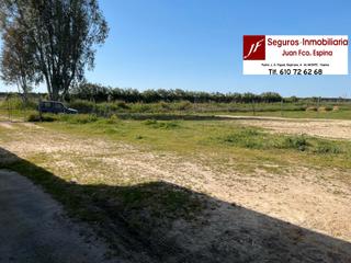 Finca rústica a Almonte. Se vende. finca en propiedad en almonte. salón chimenea, luz, na