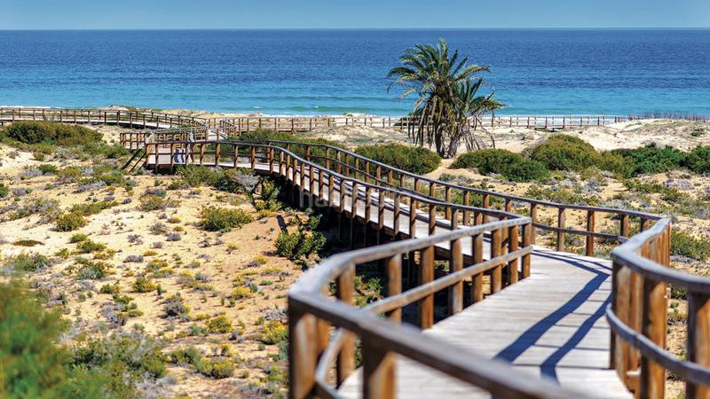 Foto 32831a27-76a5-4ced-ac00-027cb40e8c48. Piano terra con piscina in Monforte del Cid