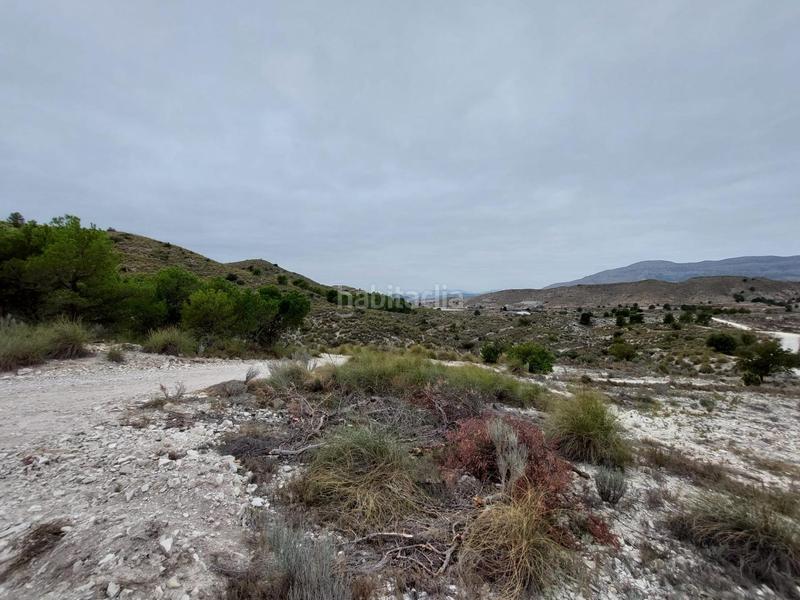 Foto af9997f1-d5c8-4f1f-98ed-ad5f81799d5c. Terreno residenziale in Agost