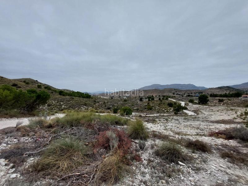 Foto d90a3058-bc1f-4c0c-92b2-758e4f1a1fe4. Terreno residenziale in Agost