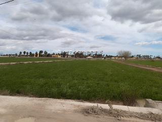 Propriété à Catral. Venta de terreno en catral