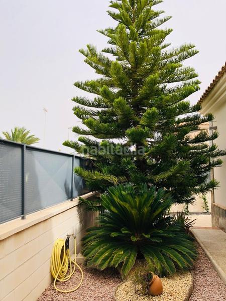 Foto 8a534c7c-45ae-44e1-ad5a-109b25e437fe. Xalet amb calefacció aparcament piscina a Pedanías Oeste Aspe