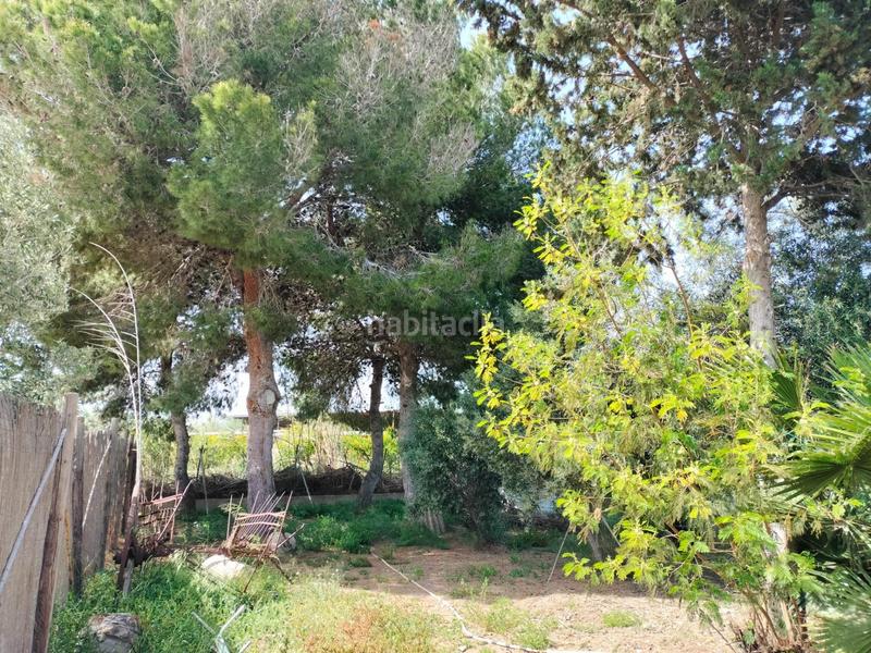 Foto d2e6d0f3-ccd1-428c-800d-962f55cc6da5. Chalet avec parking dans Valverde Elche / Elx