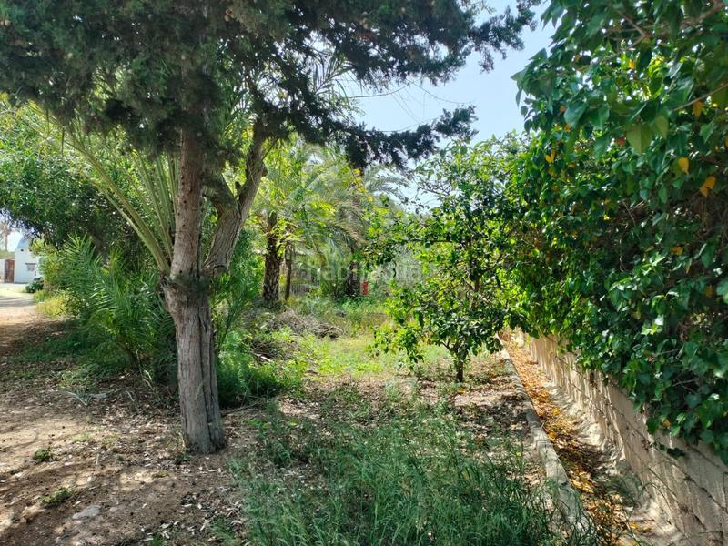 Foto eb8978d9-d333-4f0e-ad63-20965ab338e2. Chalet avec parking dans Valverde Elche / Elx