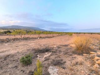 Terreno residencial en Pinoso
