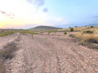 Terreno residencial en Pinoso
