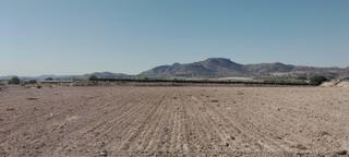 Rural plot in Novelda. Venta de parcela de 12 hectáreas en novelda