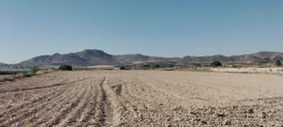 Rural plot in Novelda. Venta de parcela de 12 hectáreas en novelda