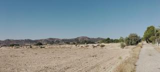 Propriété à Novelda. Venta de parcela de 12 hectáreas en novelda