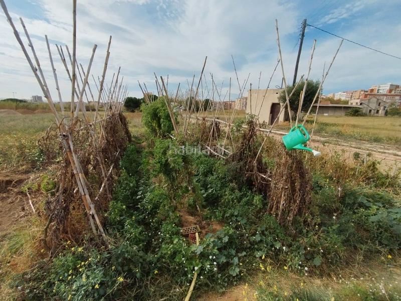 Foto 28d61640-16bd-4622-bb67-474602b9691b. Haus mit parking pool in Cinc Sènies Mataró