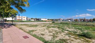 Terreny residencial a Torrijos. Se venden varias parcelas cerca de los institutos en torrijos.