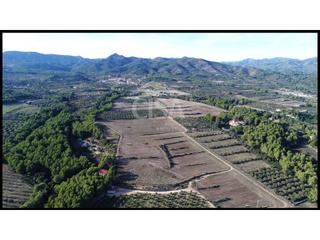 Residential Plot in Calle mont-roig del camp. Espectacular proyecto con licencia para hotel, centro deportivo,