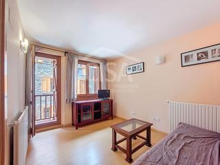Pis a Passatge marrades del piol. Luminoso piso de una habitación a pocos minutos de las pistas