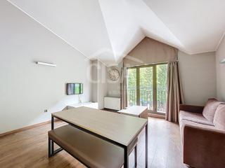 Dúplex a Cg-2, 135 135. Magnífico piso de dos habitaciones a pie de pistas