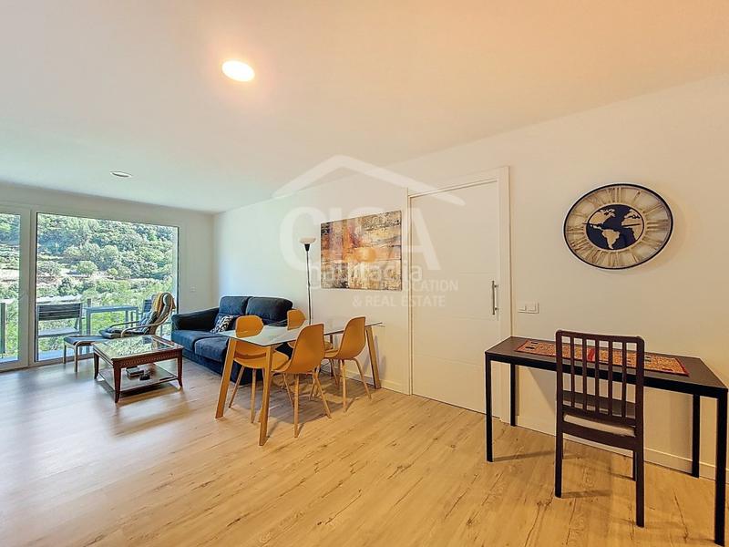 Foto a580f63f-3990-4997-98a7-3f8f1ab1c074. Affitto appartamento in antic camí ral 21 in Centro Andorra la Vella