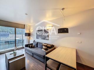 Appartement  Carretera de ransol. Piso seminuevo con espectaculares vistas y arquitectura de alto