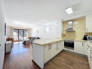 Miete Etagenwohnung in Bordes de envalira 132. Piso seminuevo con 4 habitaciones, un gran salón y muy buenas ca