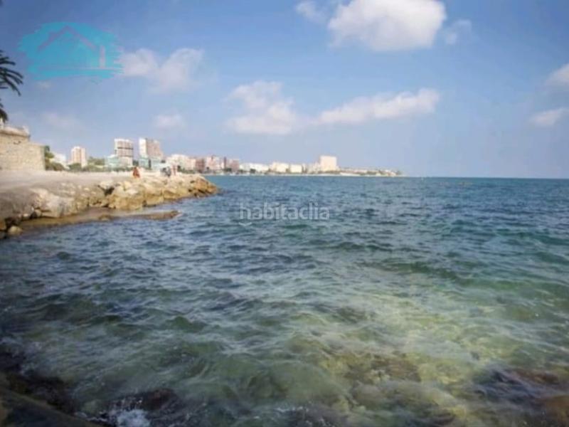 Foto 05af98ec-0079-4249-91d1-f1fdf53d3598. Alquiler estudio  zona albufera en Albufereta Alicante