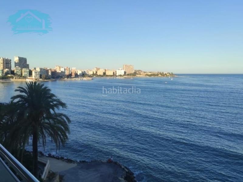 Foto 15b437b3-9051-4401-a174-46fbb58ea54d. Alquiler estudio  zona albufera en Albufereta Alicante