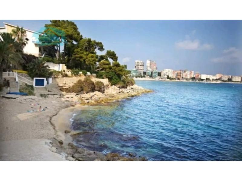 Foto f7a0ccf6-e463-4ce7-8557-56095cc9cb6a. Alquiler estudio  zona albufera en Albufereta Alicante