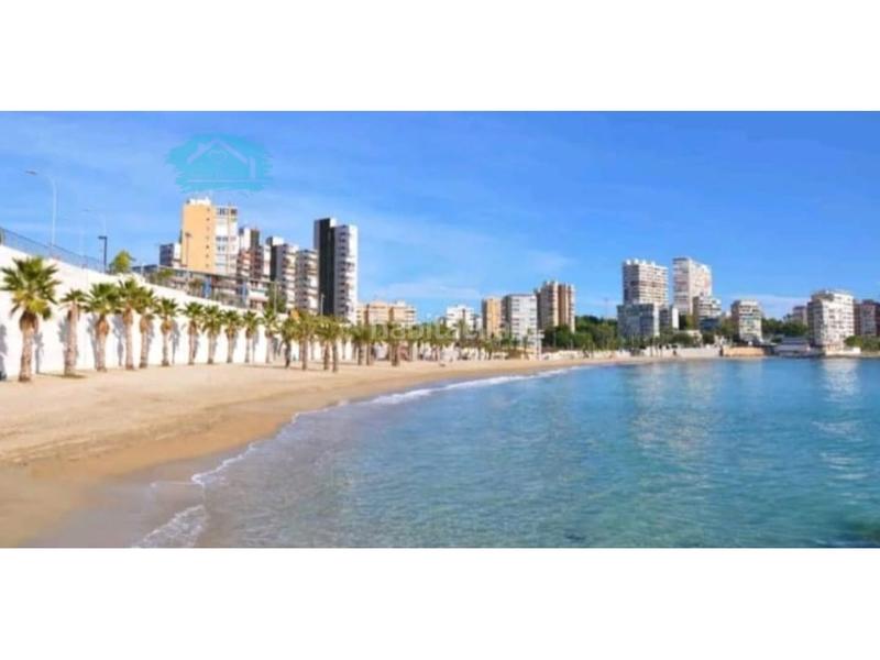 Foto 2009c5e9-d994-4a86-b3b9-ba4b348b04e5. Location studio dans Albufereta Alicante