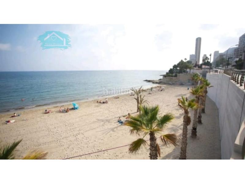 Foto 59bb6b00-0d6b-4f3c-84f4-606aa7d9d0b1. Location studio dans Albufereta Alicante