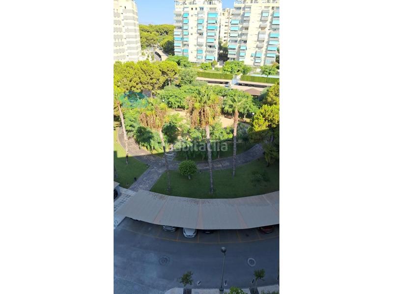 Foto 7ede84c7-4df3-4dfe-93f9-c180bc2a5b1f. Location appartement avec parking piscine dans Playa Muchavista Campello (el)