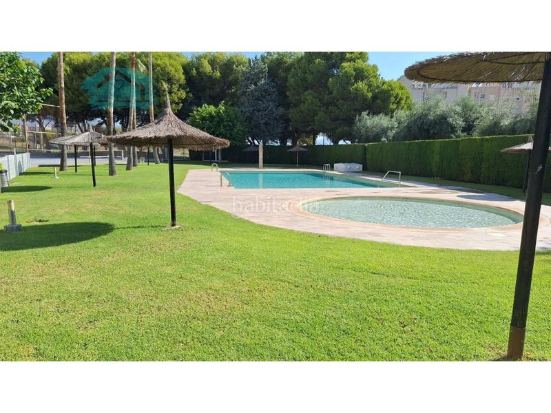 Foto b5343a8d-3a00-4ce0-9aec-d9fe32240b72. Location appartement avec parking piscine dans Playa Muchavista Campello (el)