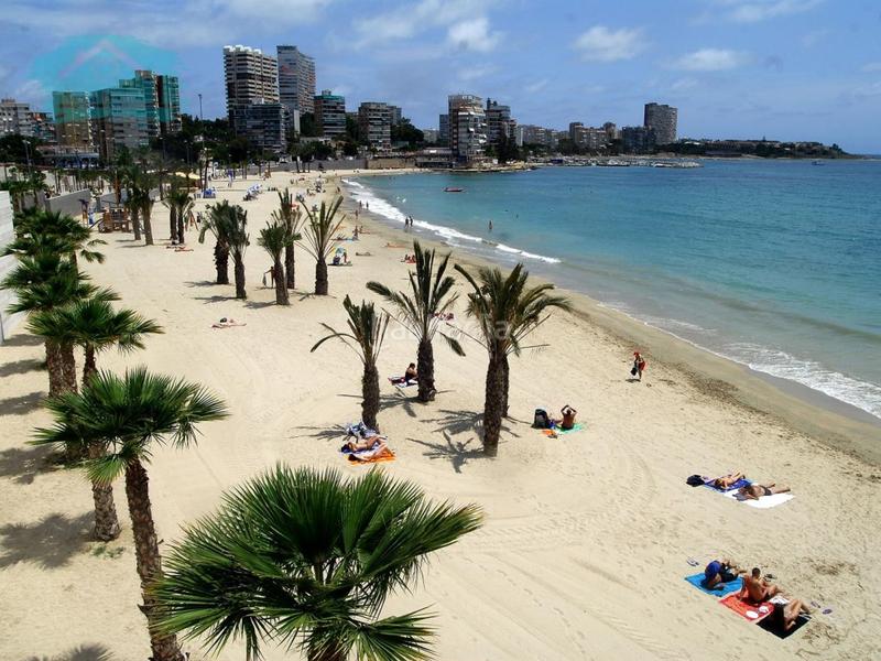 Foto 1e41cd89-bef7-4d8f-81d7-af5b038895a4. Lloguer pis amb piscina a Albufereta Alicante