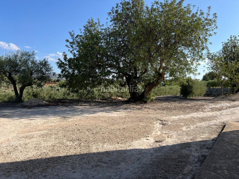 Foto 284370c2-d58f-4524-9558-bc58f1435534. Rural plot in Agullent