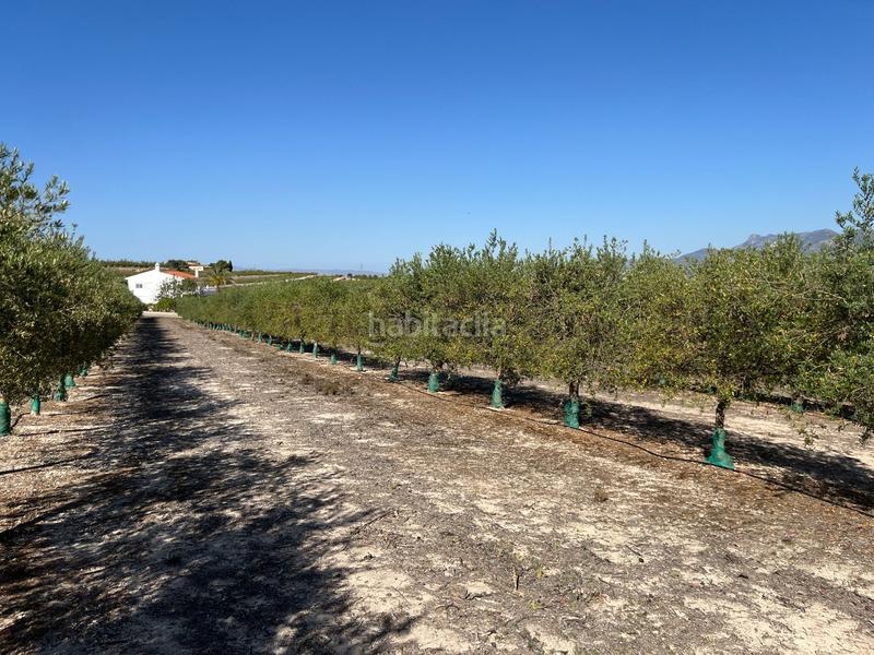 Foto 77d63b27-ac49-4b84-baf0-72e97290732d. Rural plot in Agullent